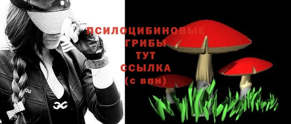 мескалин Бородино