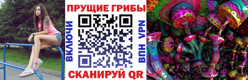 МЕГА tor  даркнет официальный сайт  Галлюциногенные грибы прущие грибы  как найти наркотики  Гурьевск 
